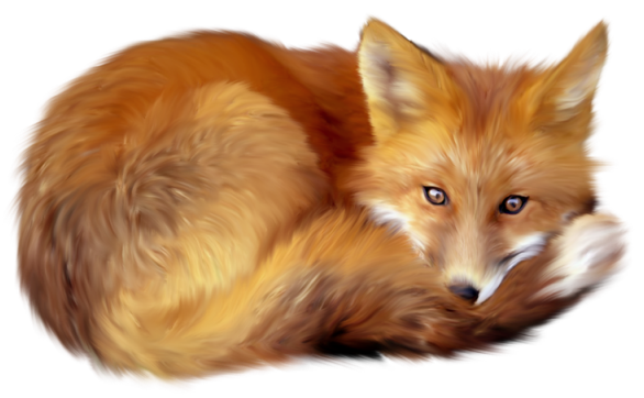 Fox Reptile Cartoon Rabbit Artistic PNG