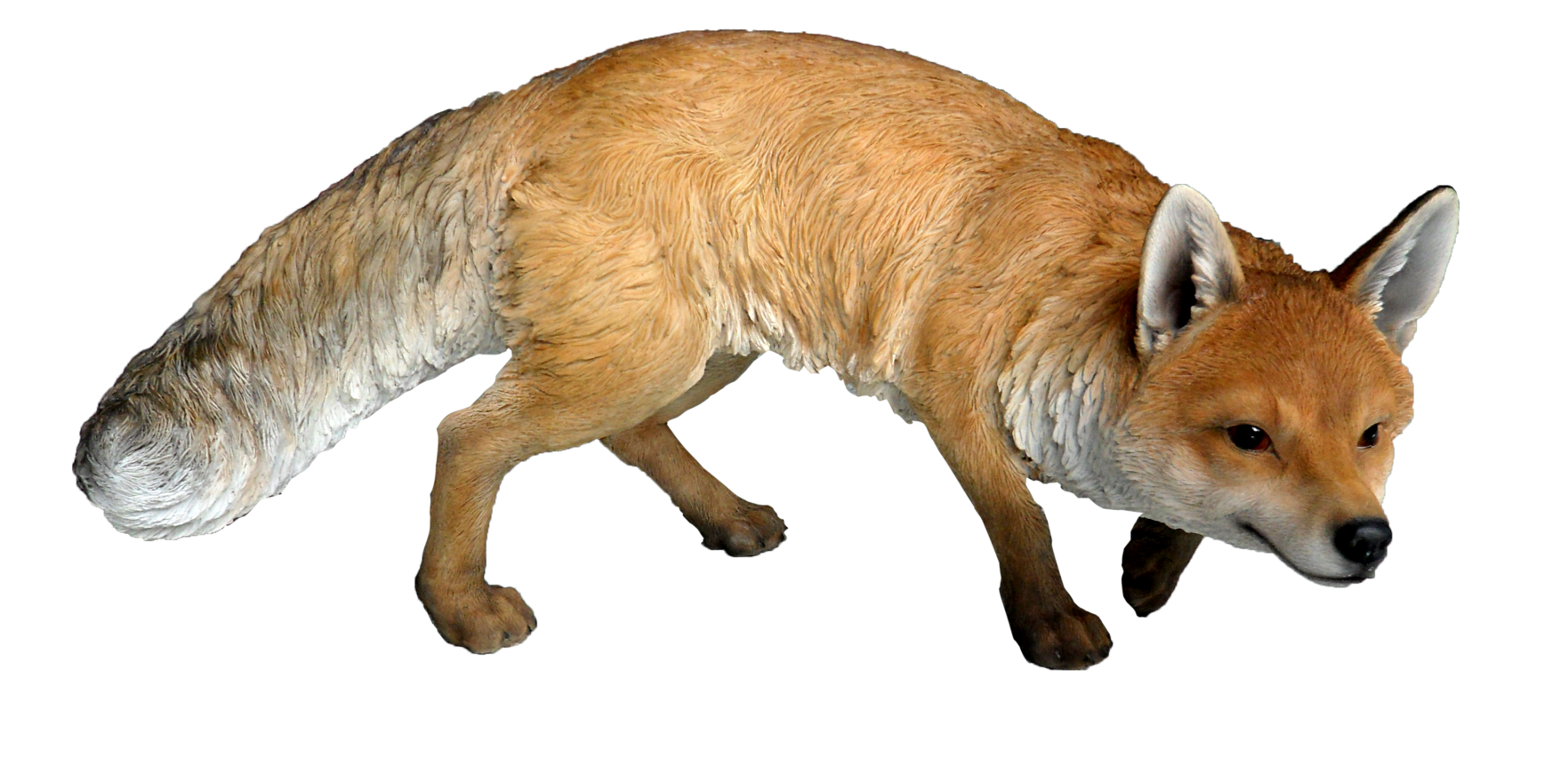 Fox Bedevil Focus Bud Animal PNG