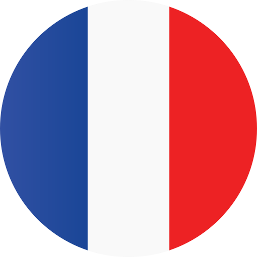 France Flags Flag PNG