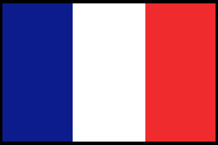 French Military Nation Respect Flag PNG