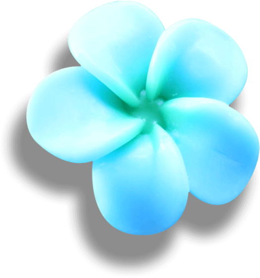 Gardenias Nature Frangipani Freesia Umbels PNG