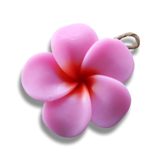 Nature Nasturtium Frangipani Pink Flower PNG