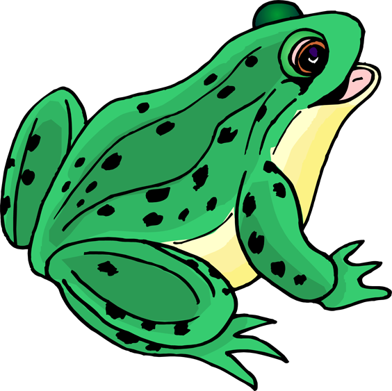 Frog Clip Life Hurry French PNG