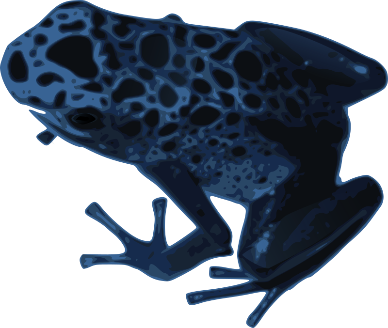 Ocean Dolphin Snail Frog Day PNG