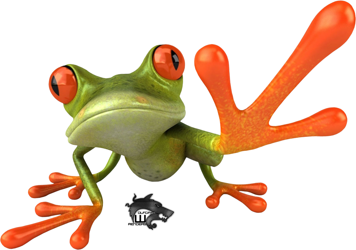 Frog Cat Wild Life Lizard PNG