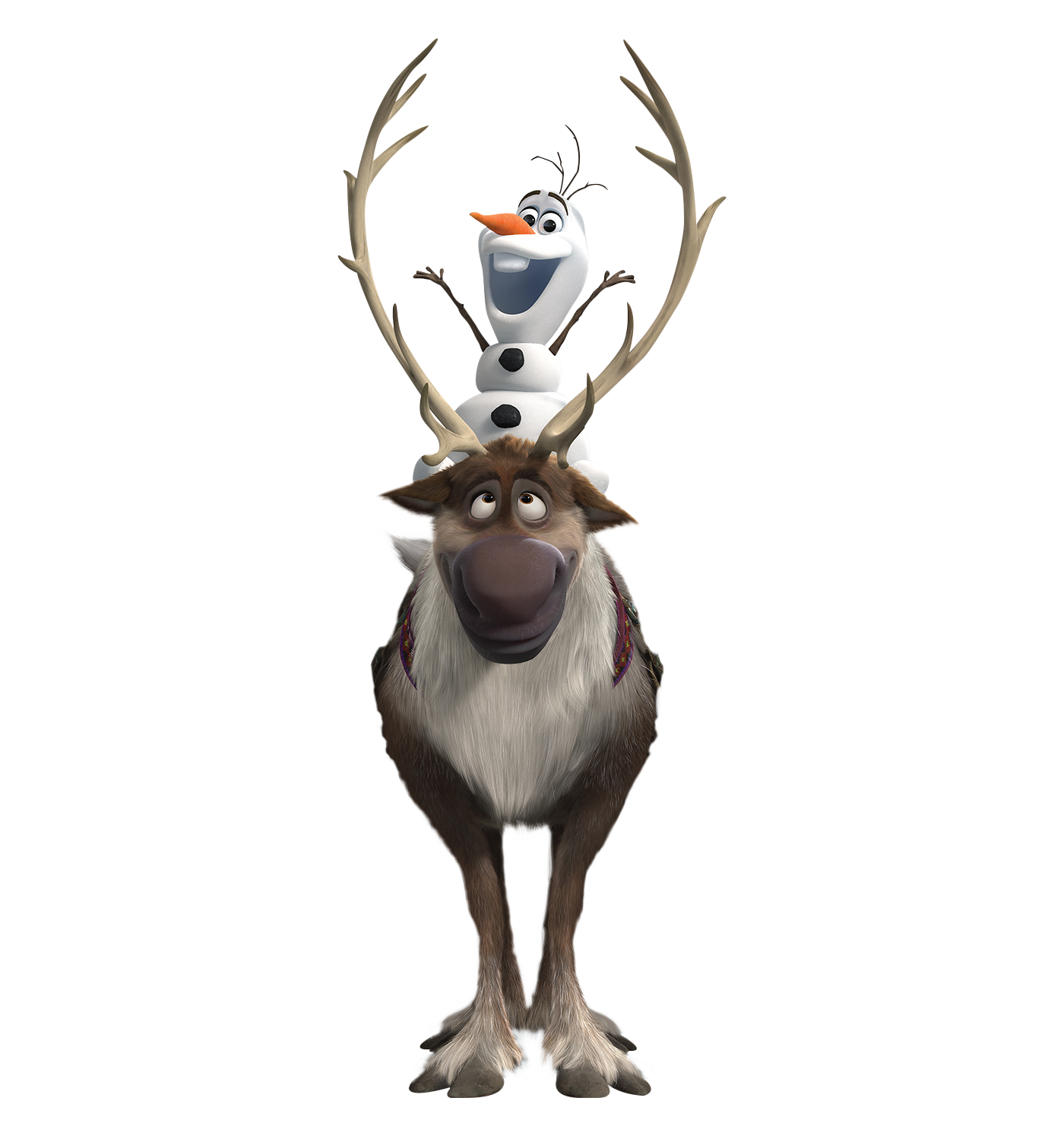 Refrigeration Frosty Learning Iced Horse PNG