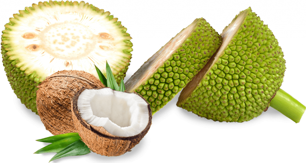 Juicy Success Benefit Outcome Jackfruit PNG
