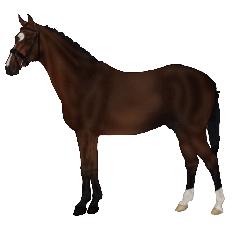 Event Horse Spirited Rein Gamy PNG