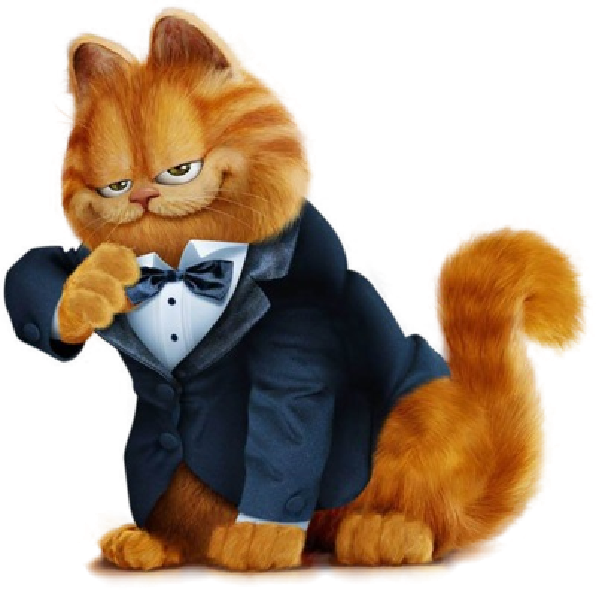 Garfield Cartoon PNG