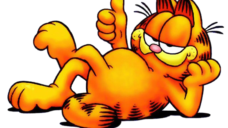 Garfield Cartoon PNG