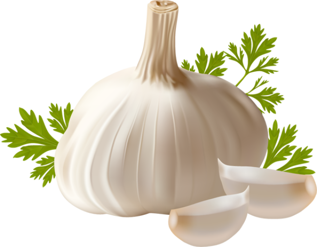 Zucchini Ail Tags Garlic Fast PNG