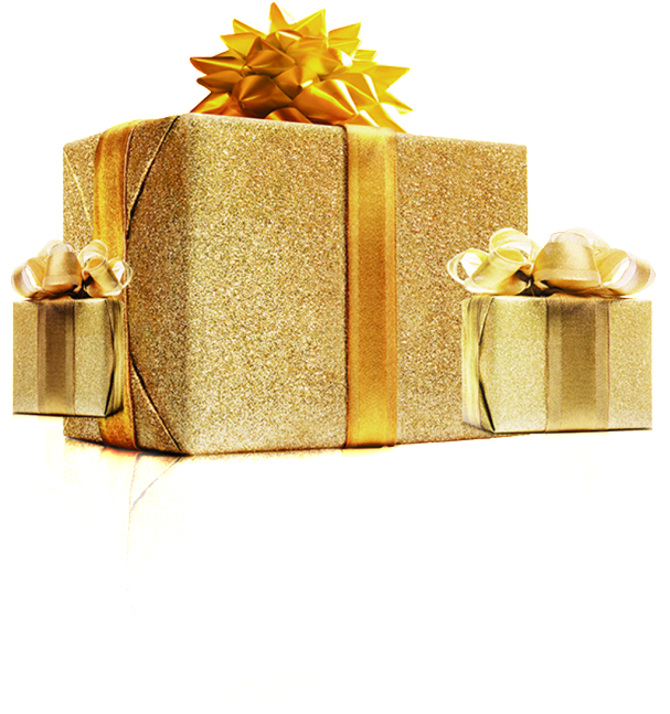 Holidays Gift Something Bow Genius PNG