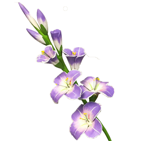 Hydrangea Gladiolus Delphinium Face Baby PNG