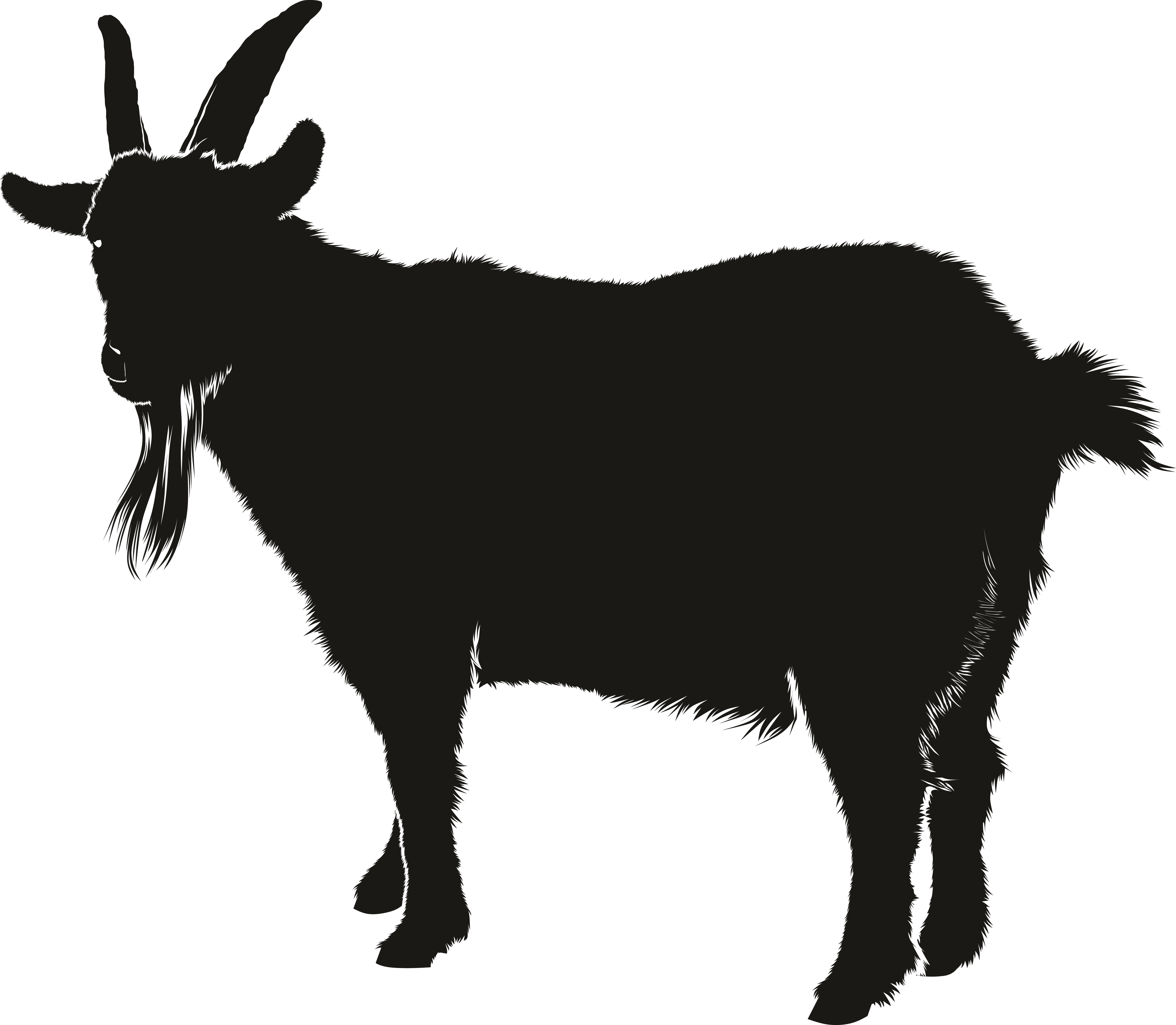 Opossum Calves Donkey Animals Goat PNG