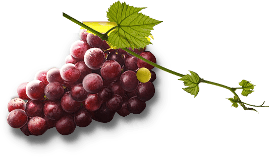 Zinfandel Grape Salad Wine Pear PNG