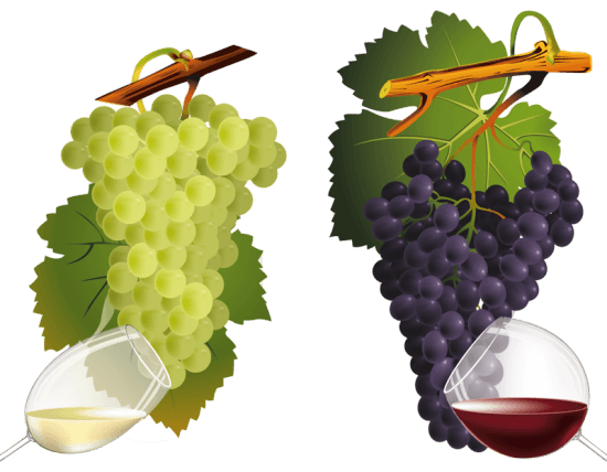 Winery Viticulture Fruit Pomegranate Citrus PNG