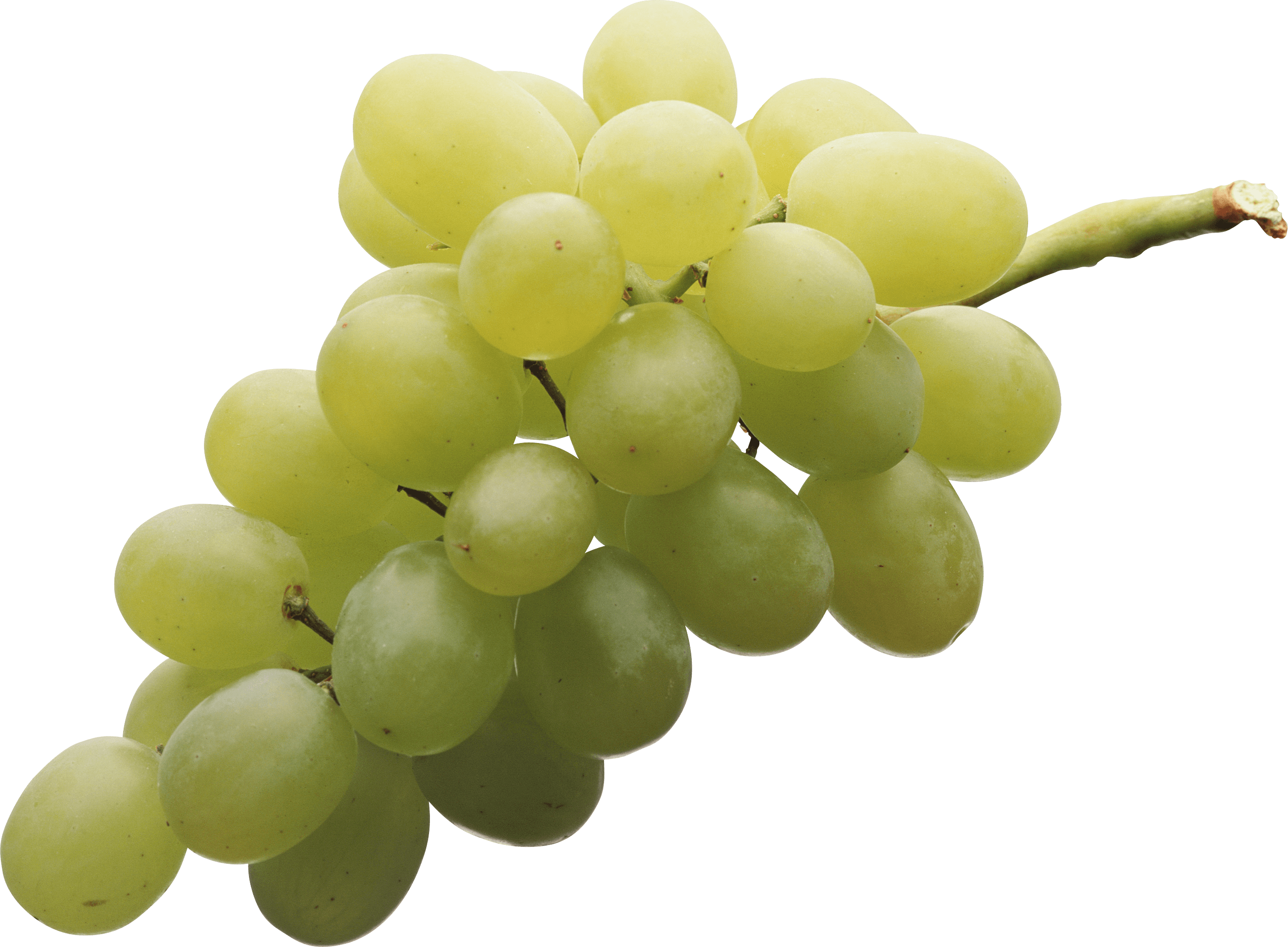 Green Health Chardonnay Stylish Viticulture PNG