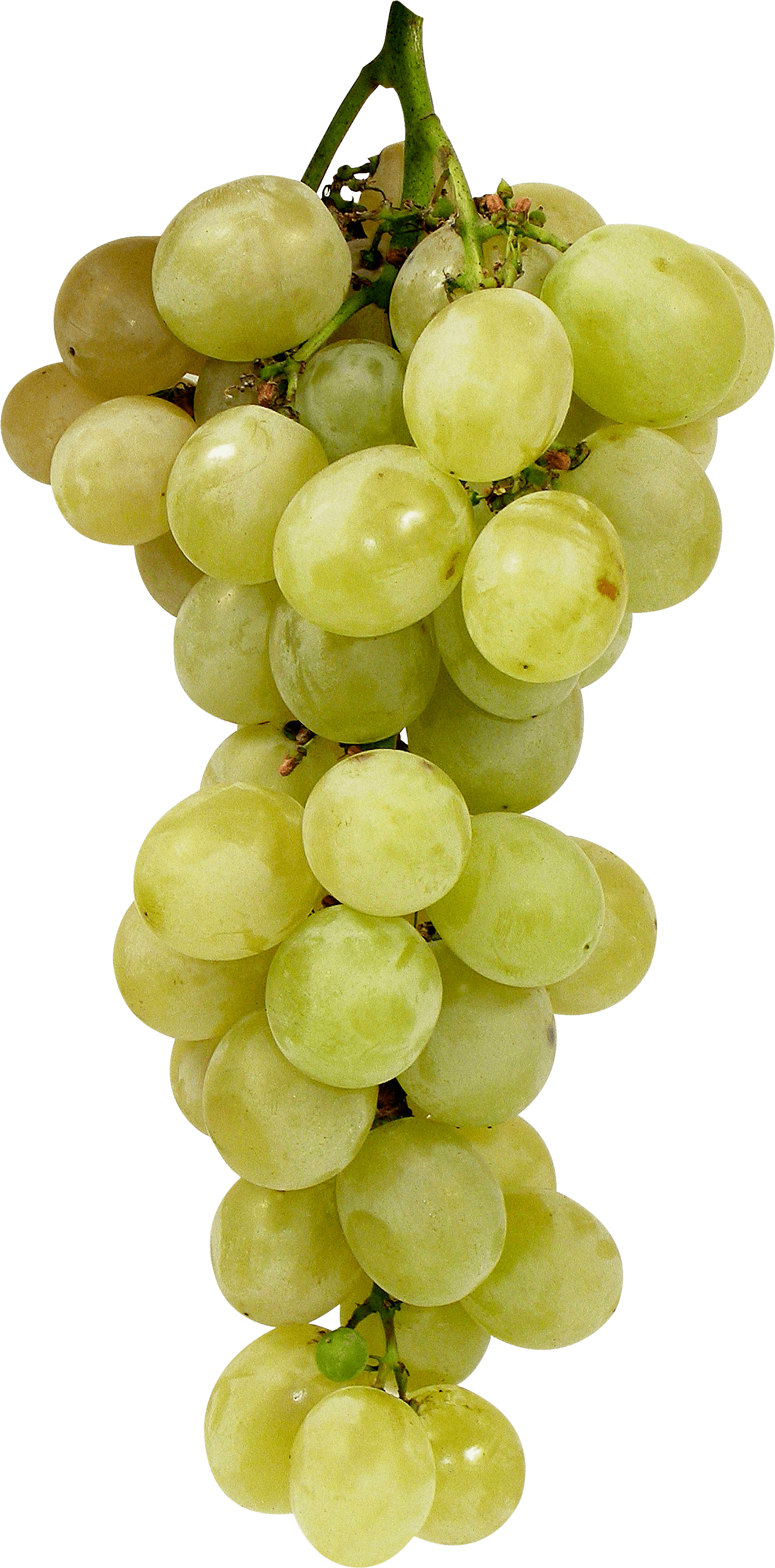 Berry Mash Paradise Vineyard Grape PNG