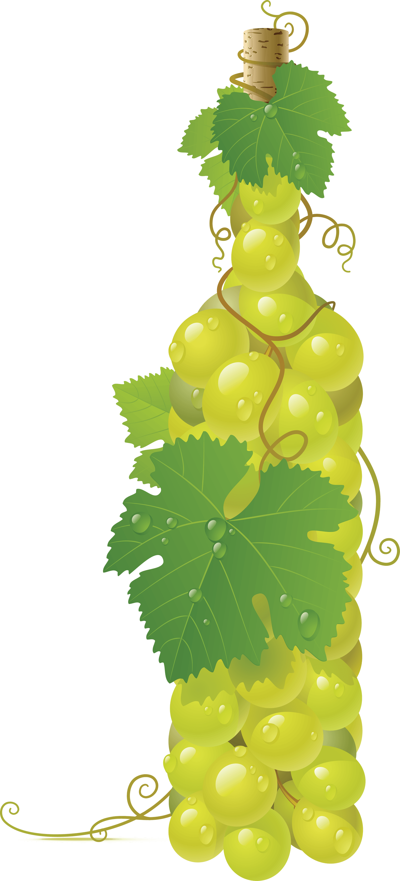 Motivation Pear Stylish Green Vineyard PNG