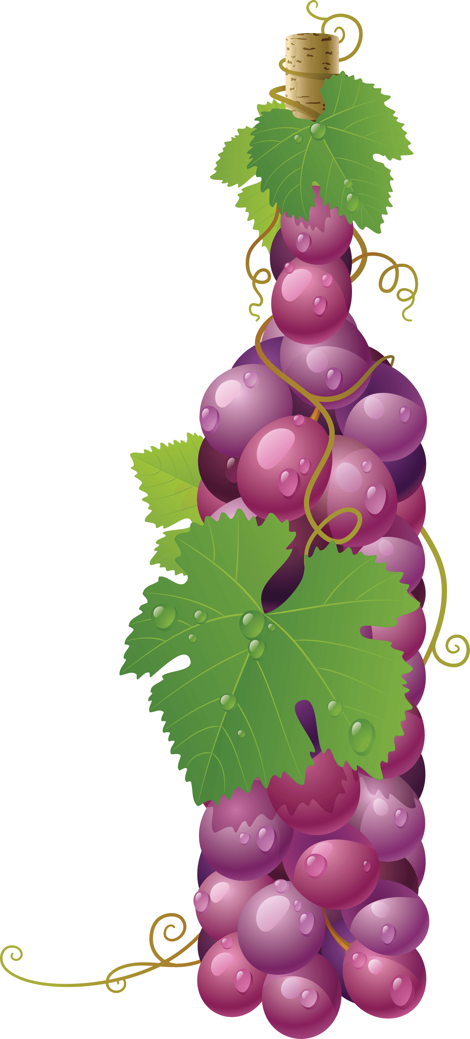 Stylish Red Canon Grape Pear PNG