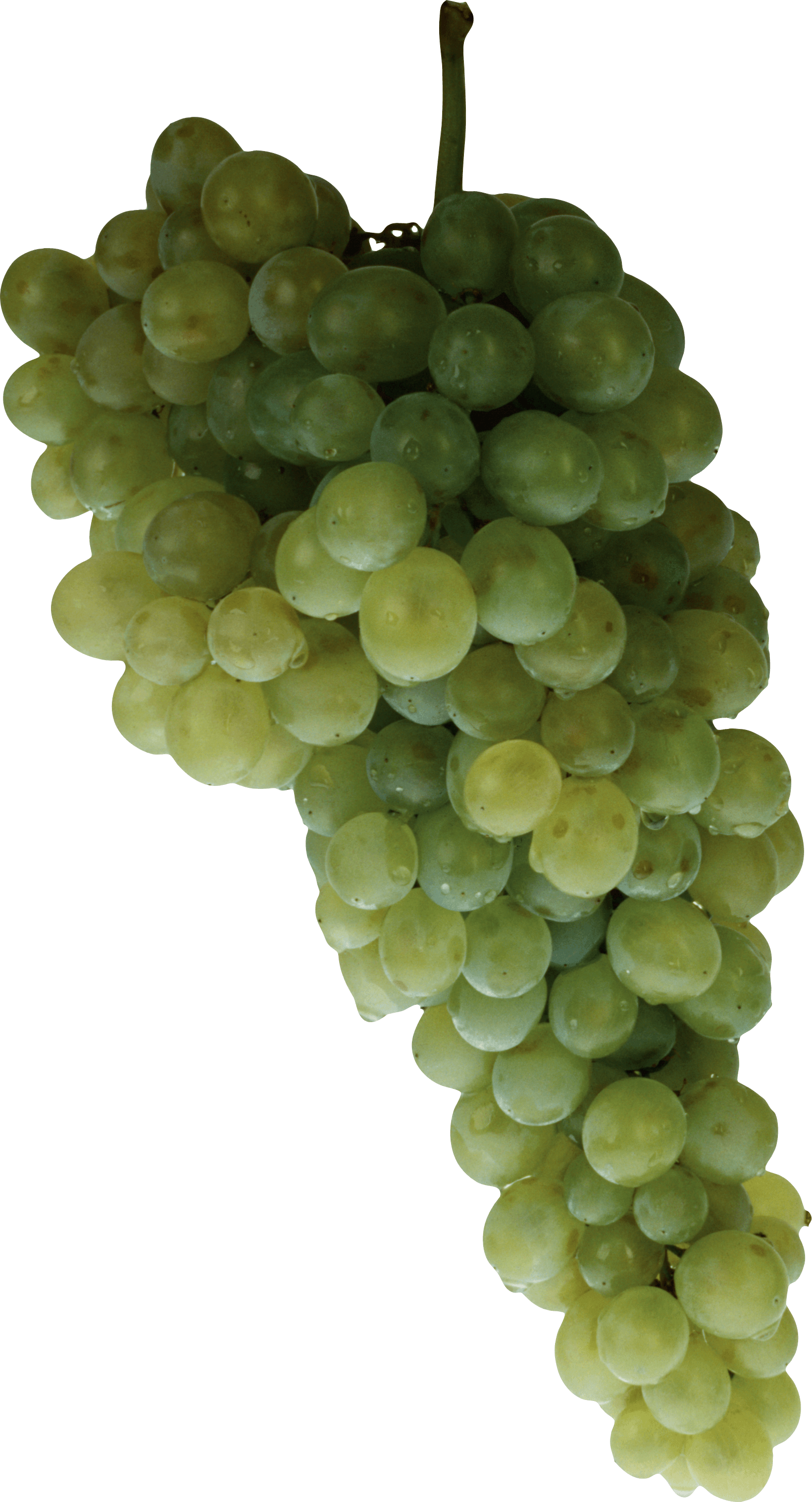 Cluster Green Grape Concentrate Raisin PNG