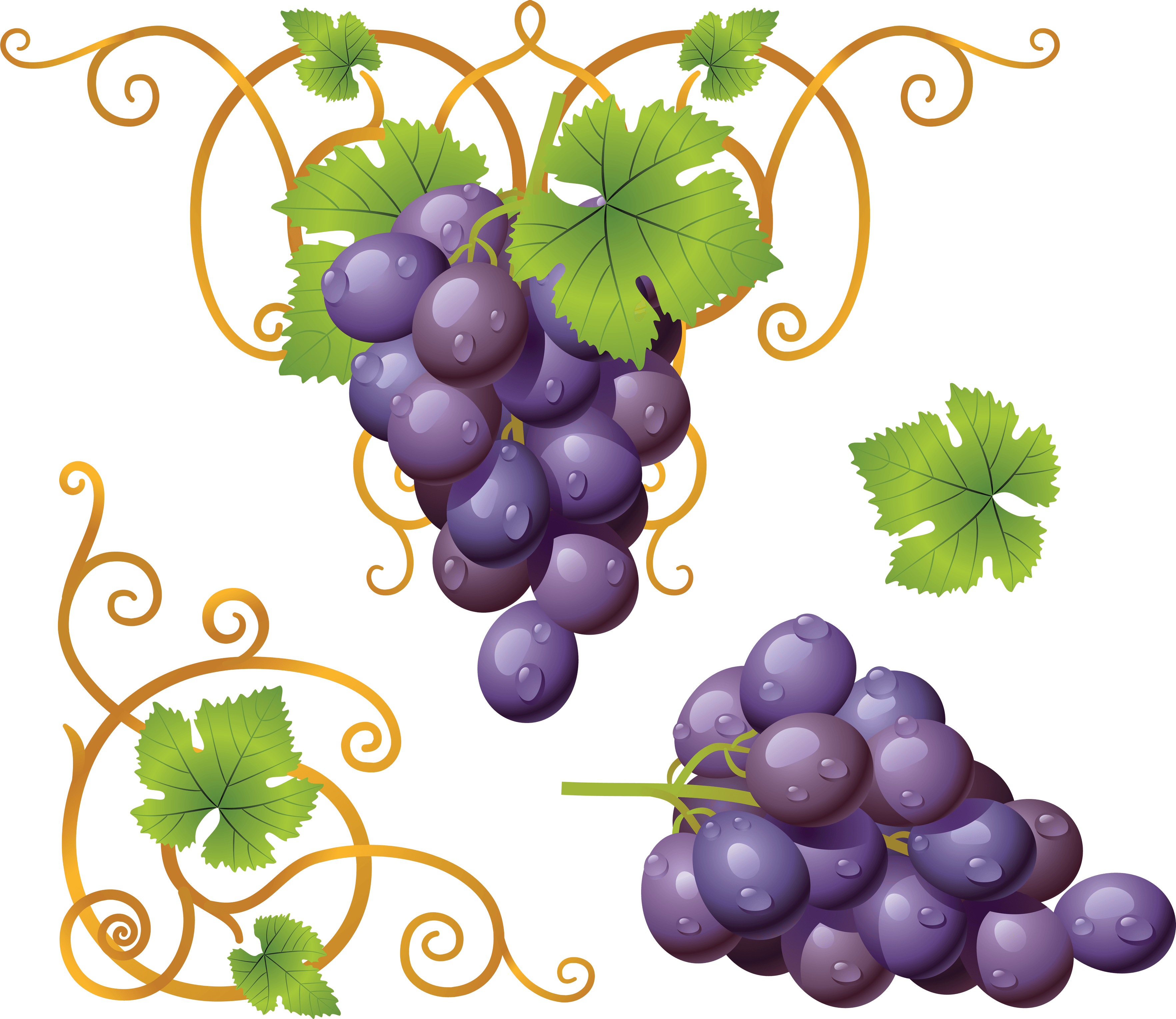 Grapevine Befit Paradise Fruit Wine PNG