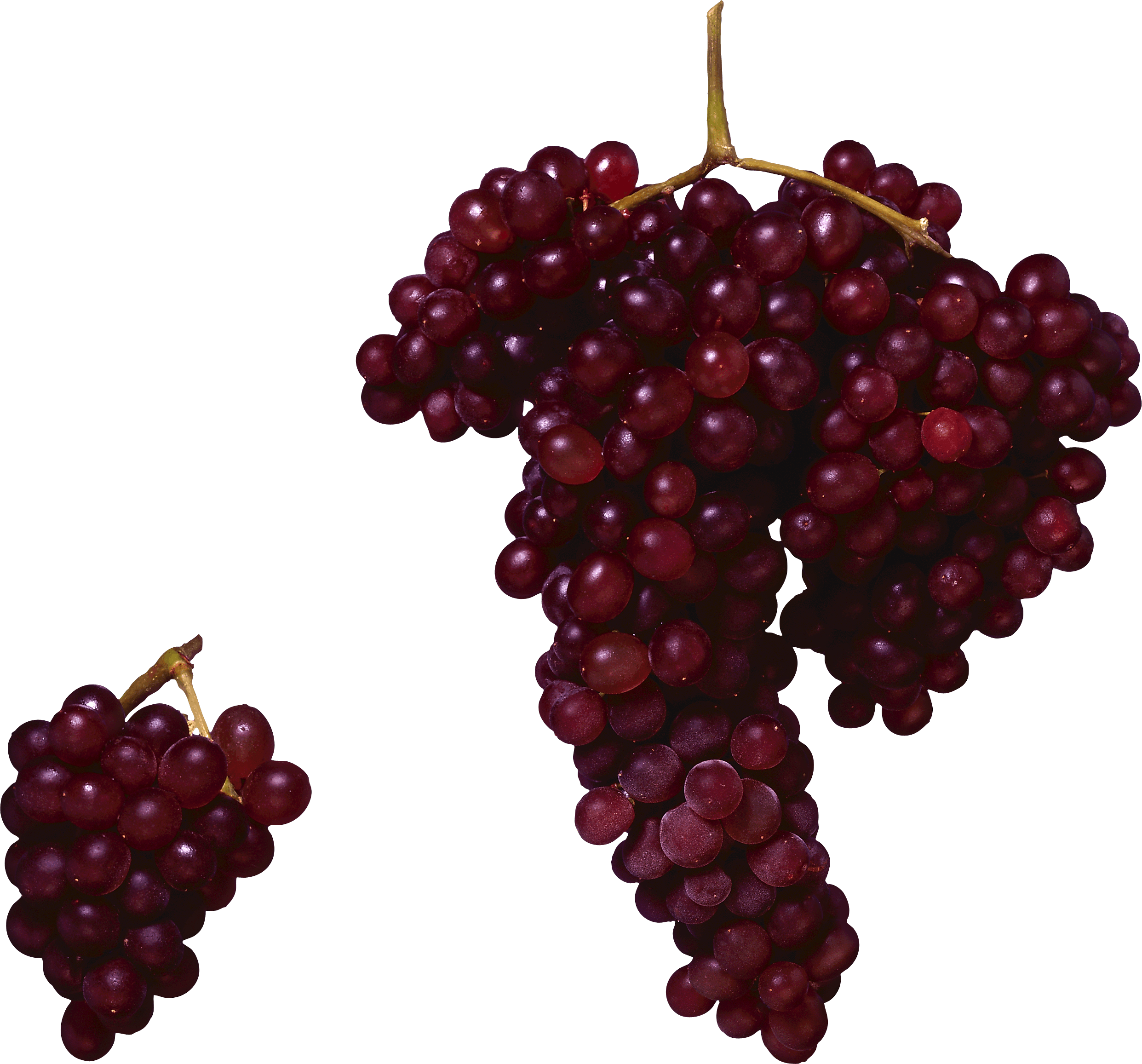 Girls Grape Colorful Viticulture Red PNG