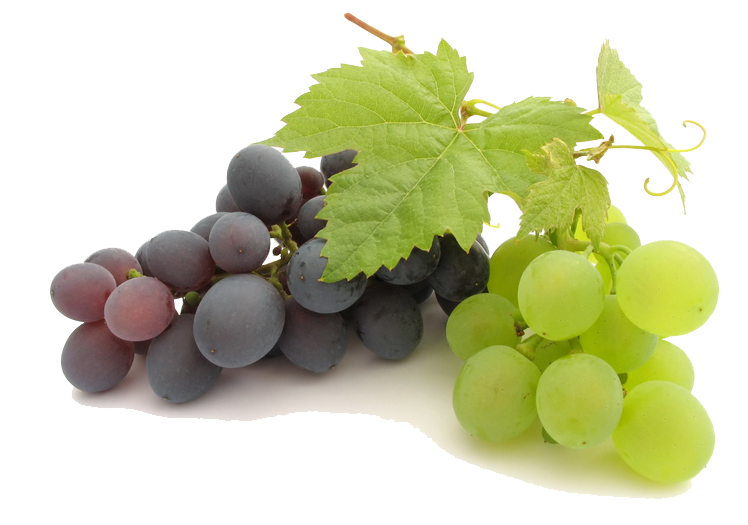 Grapevine Vineyards Grape Delicious File PNG
