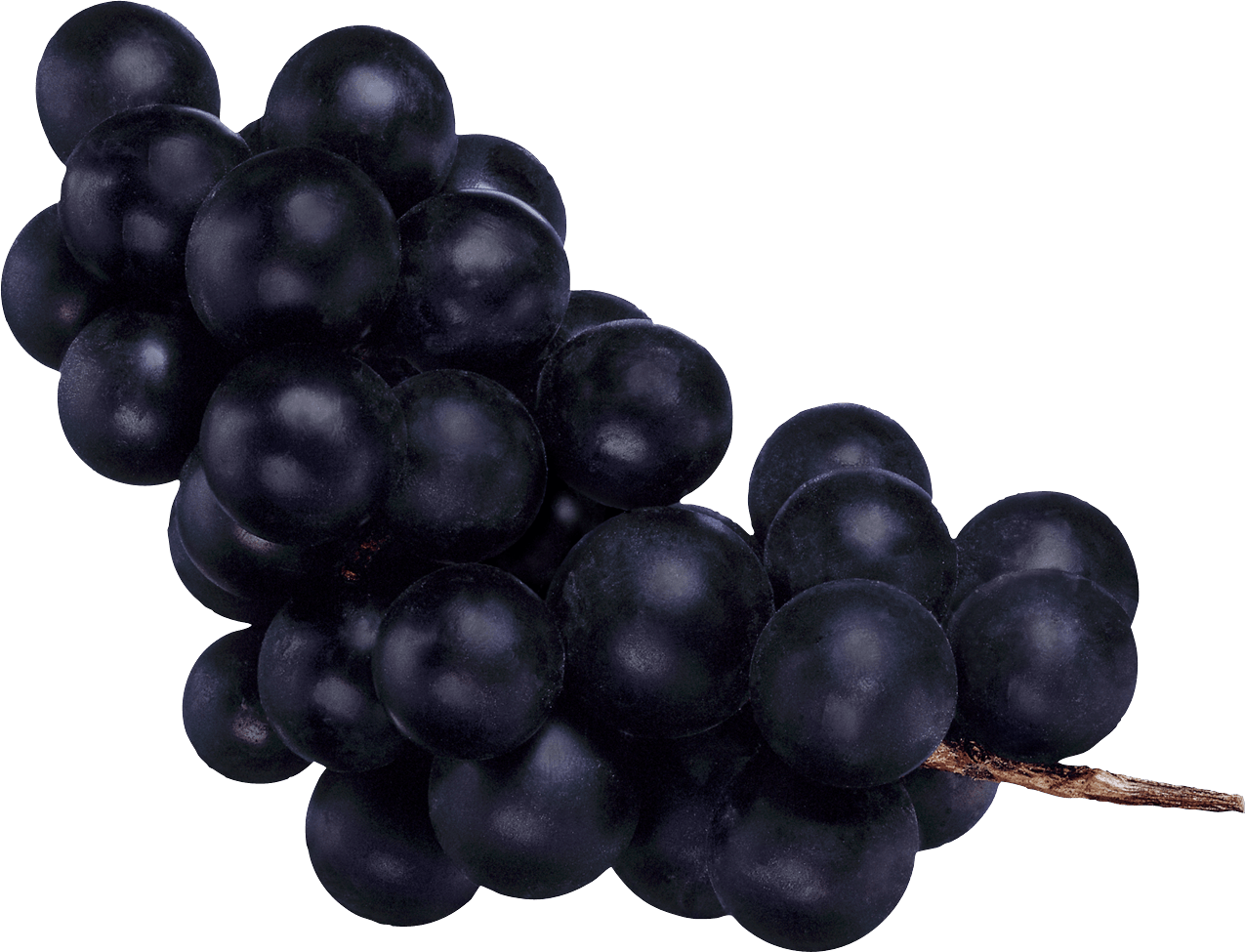 Stylish Grape Wine Winery Viticulture PNG