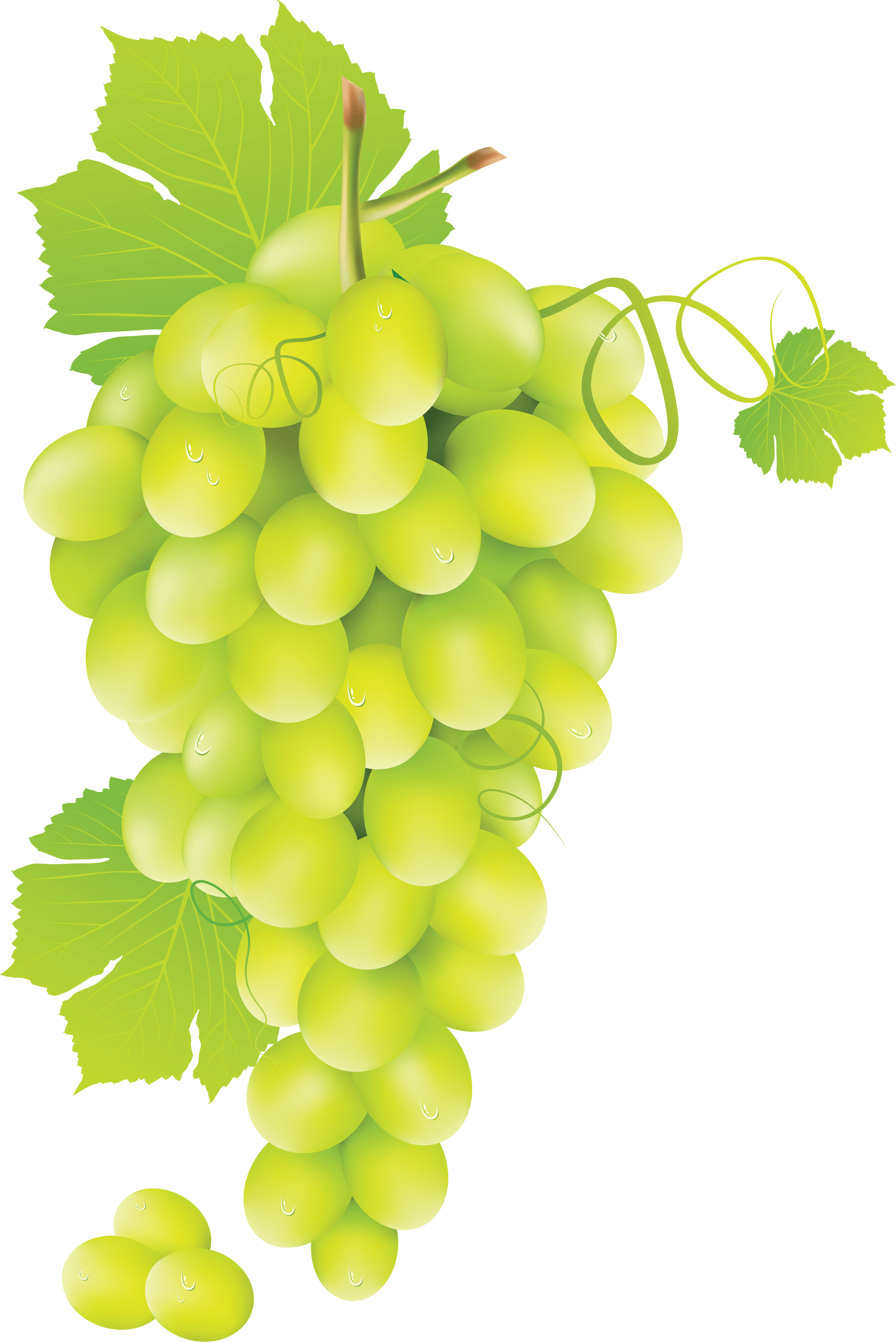 Peach Grape Salad Grapevine Blueberries PNG