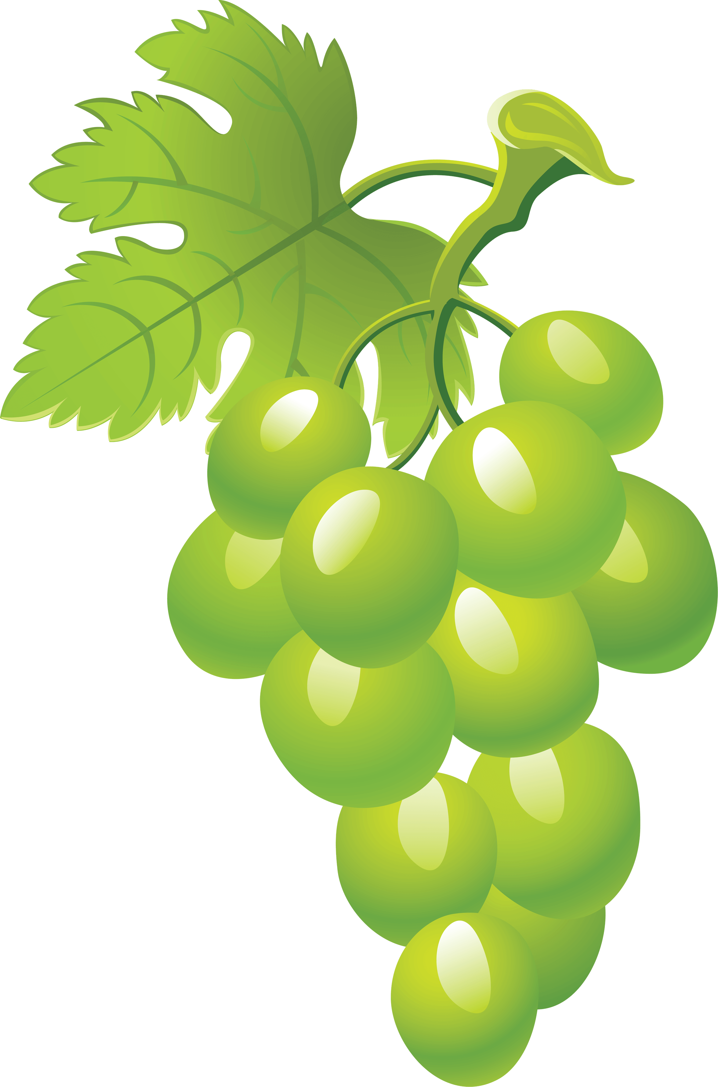 Smile Chardonnay Grape Mash Raisin PNG