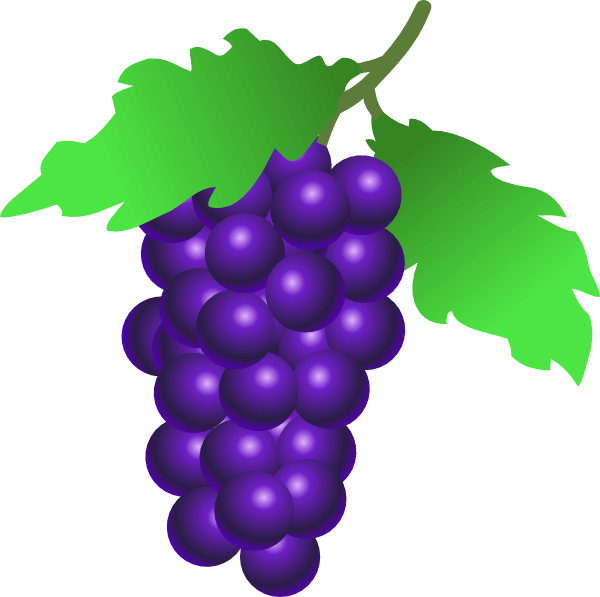 Citrus Grape Vine Red Pomegranate PNG