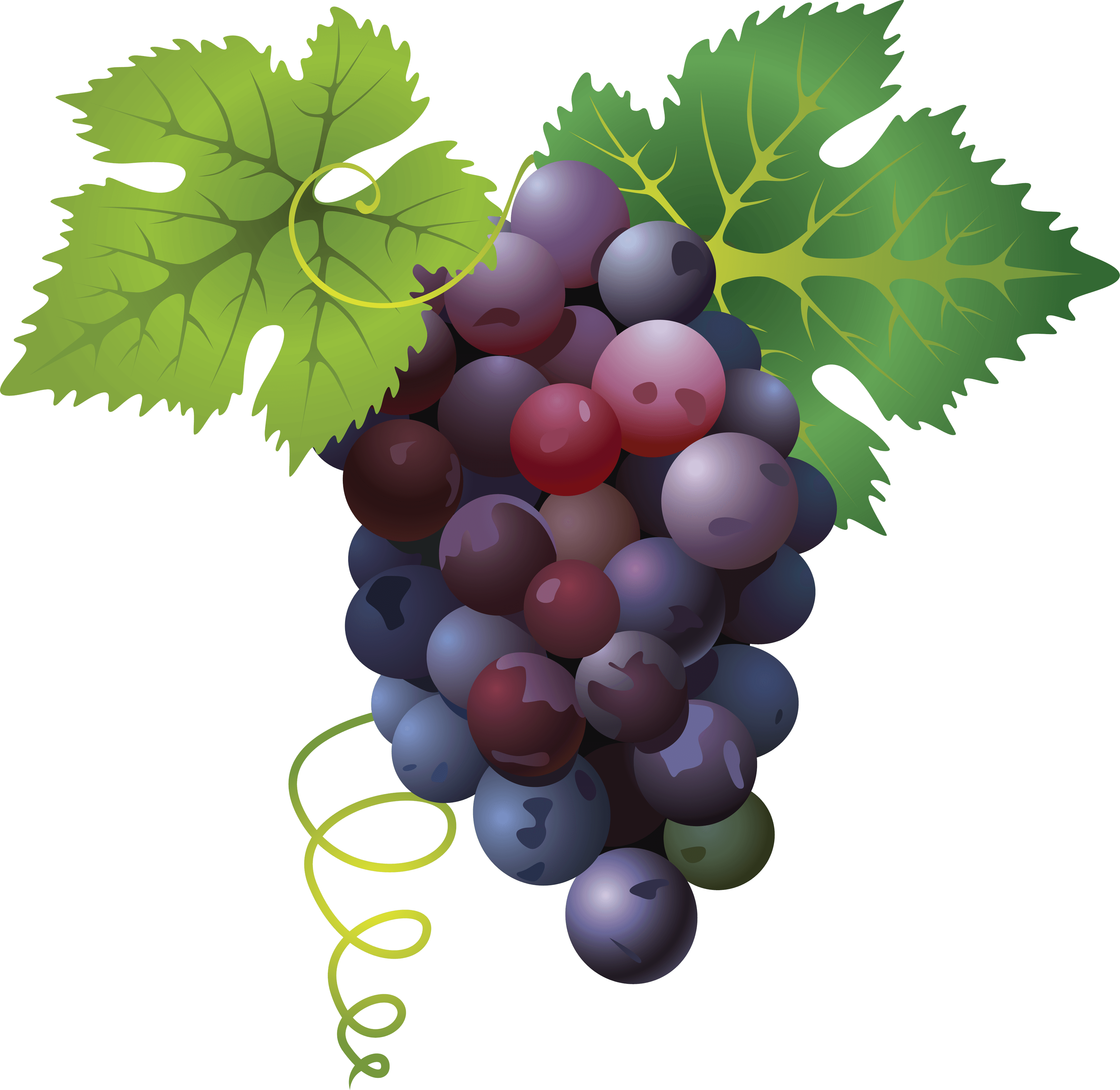 Fitness Healthy Grapevine Grape Better PNG
