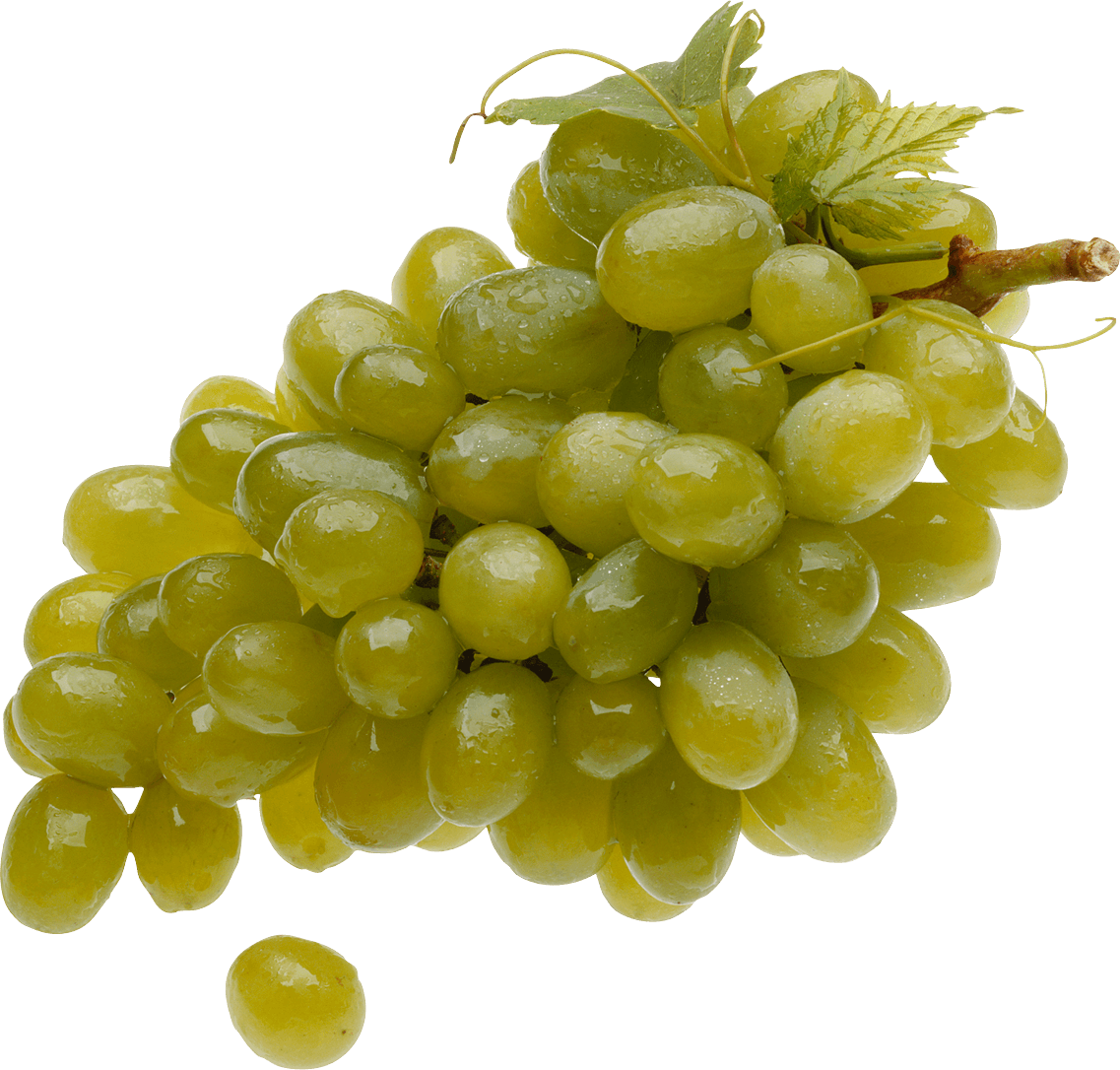Zinfandel Fruit Grapevine Vine Concentrate PNG