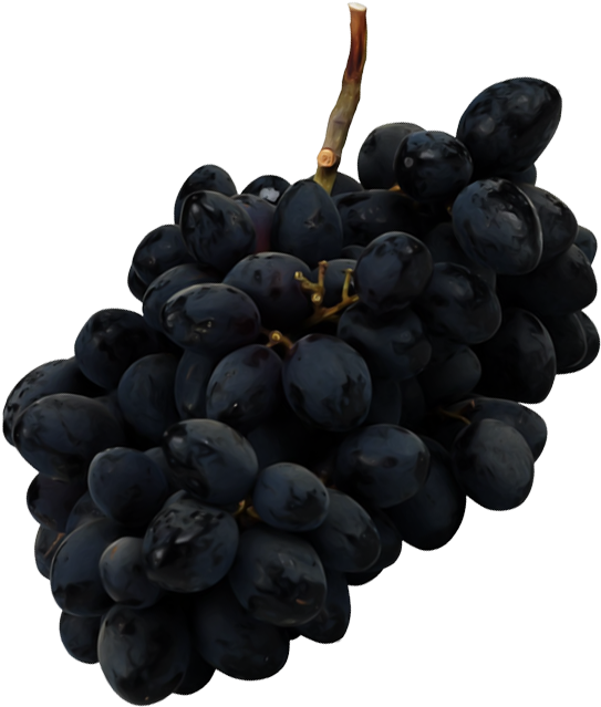 Olives Grapevines Grapes Boysenberries Seedless PNG