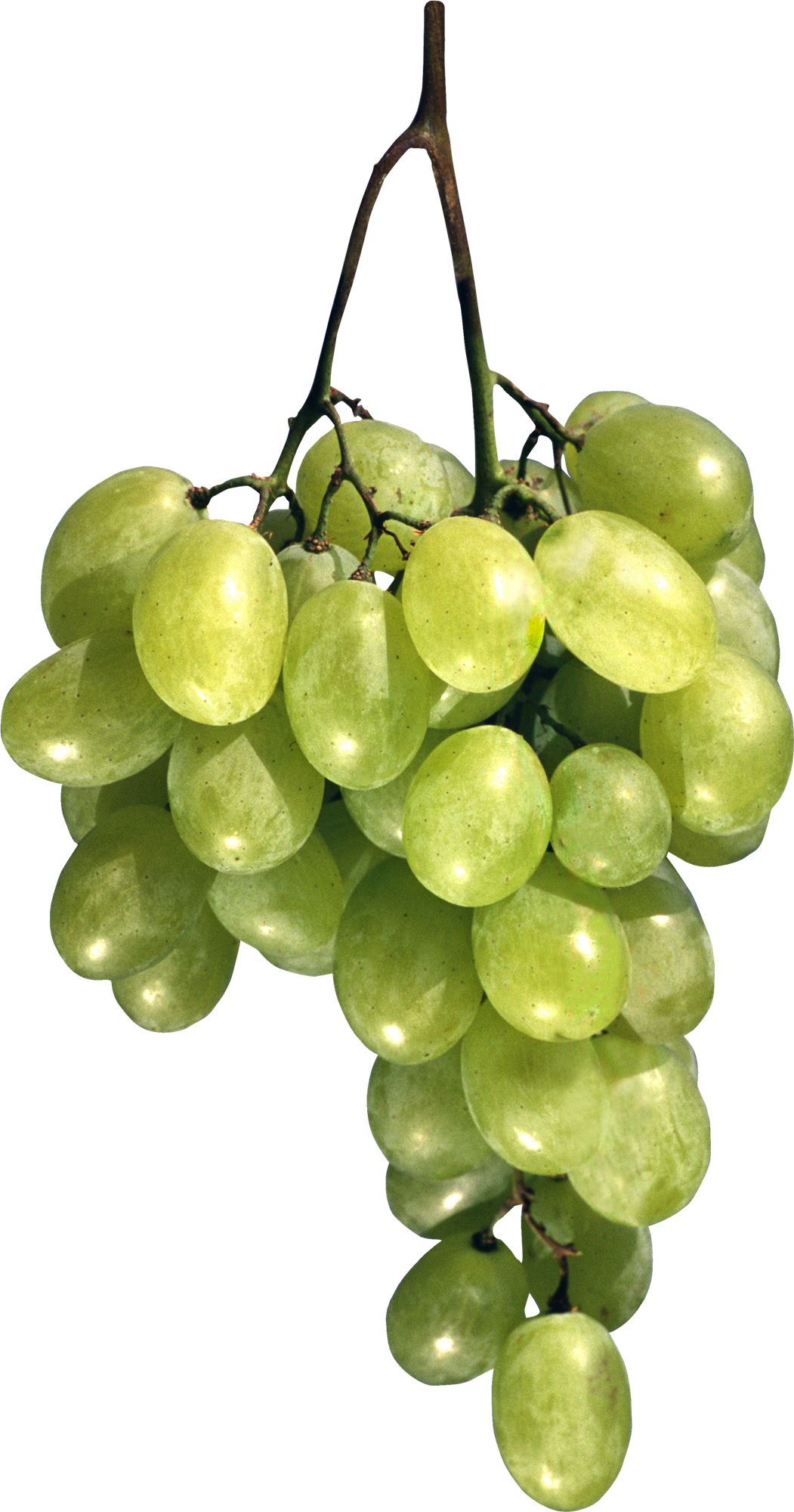 Chardonnay Almonds Green Fruits Grapes PNG