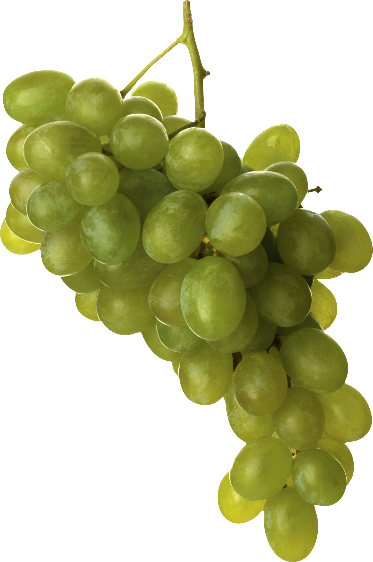 Fruit Grapes Walnuts Truffles Winegrower PNG