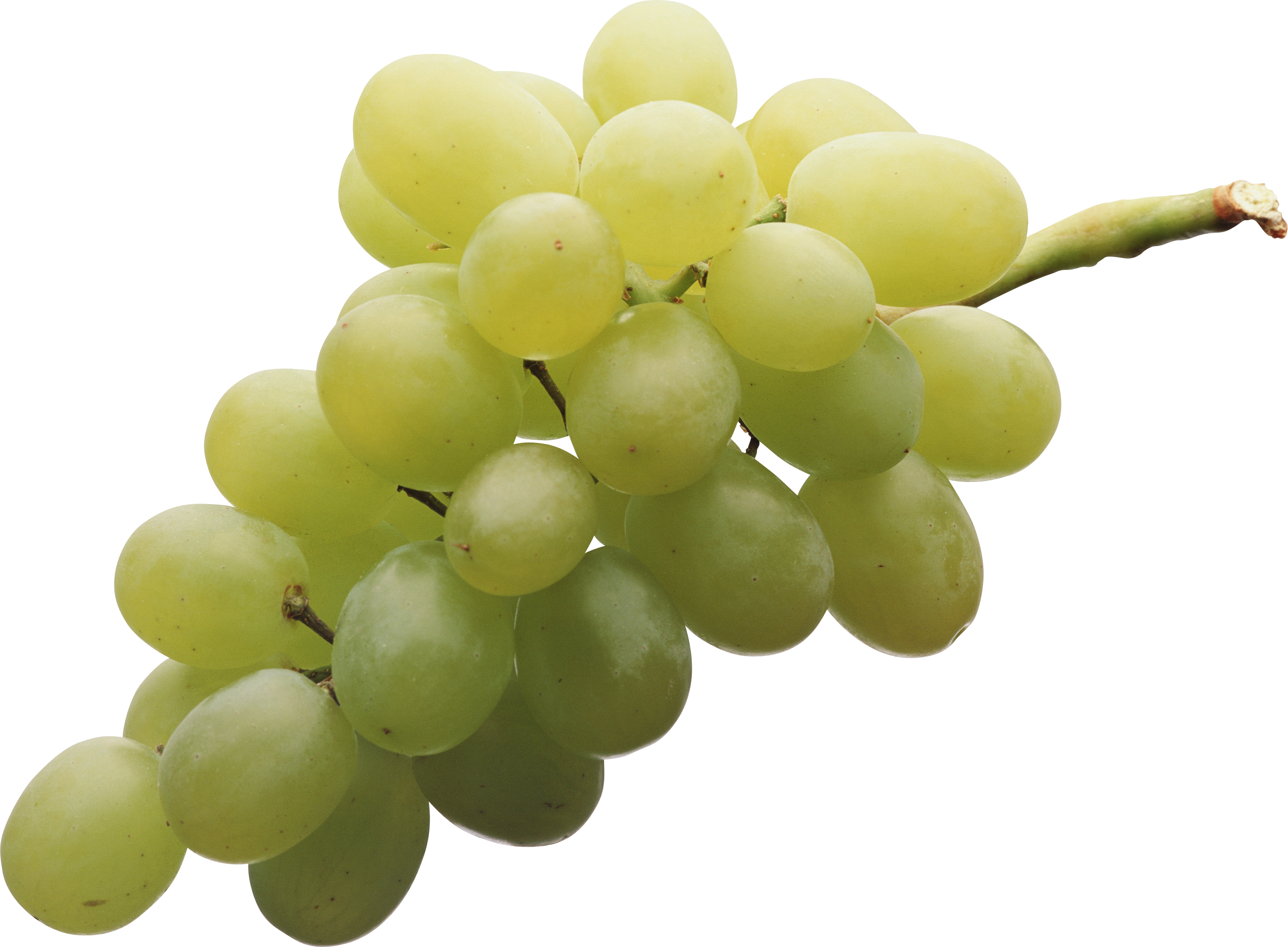 Quality High Grapevines Orchards Juicy PNG