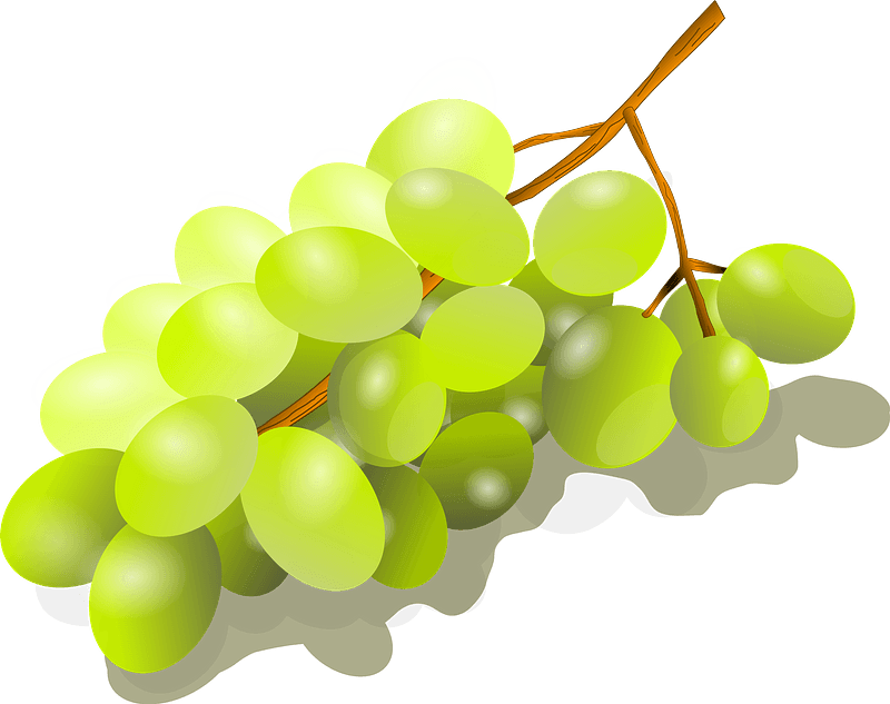 Wines Grains Berries Grapevines Winemaker PNG
