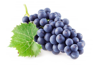 Raisin Grapevines Grapevine Grape Clusters PNG