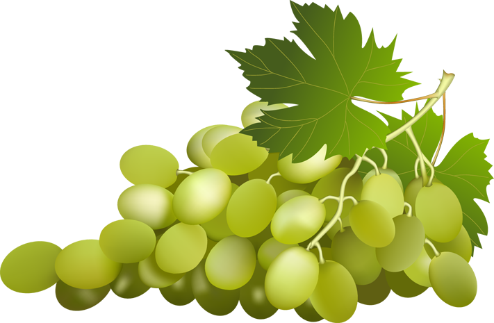 Food Green Grapes Grapevine Clip PNG