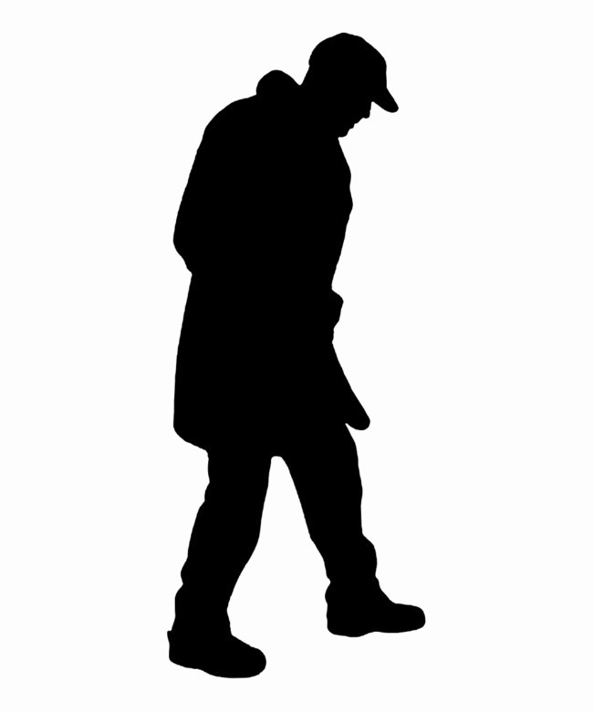 Illustration Drawings Silhouette Lifelike Chart PNG