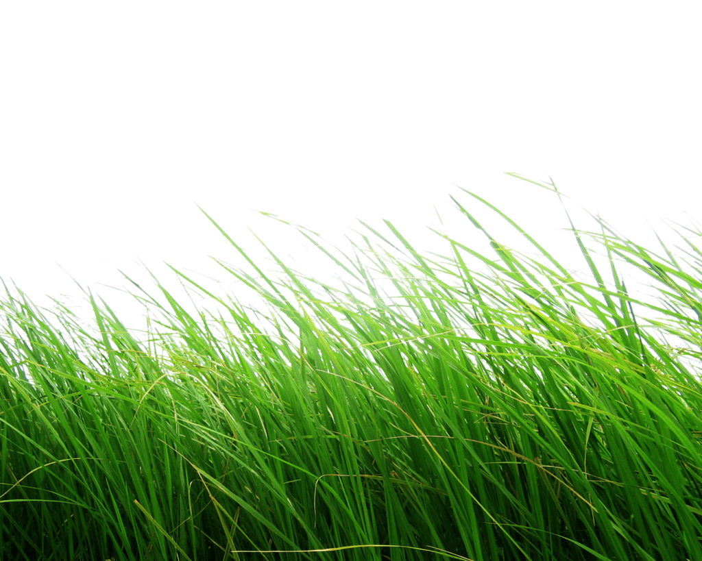 Lip Clouds Grass World Hay PNG