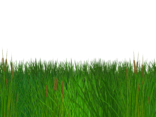Stash Nature Base Grass Field PNG