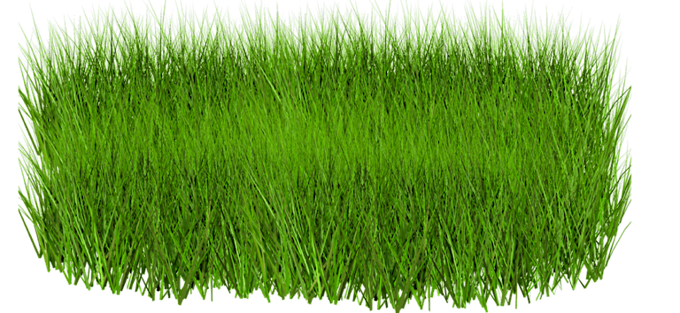 Greenery Pasture Shop Natural Turf PNG