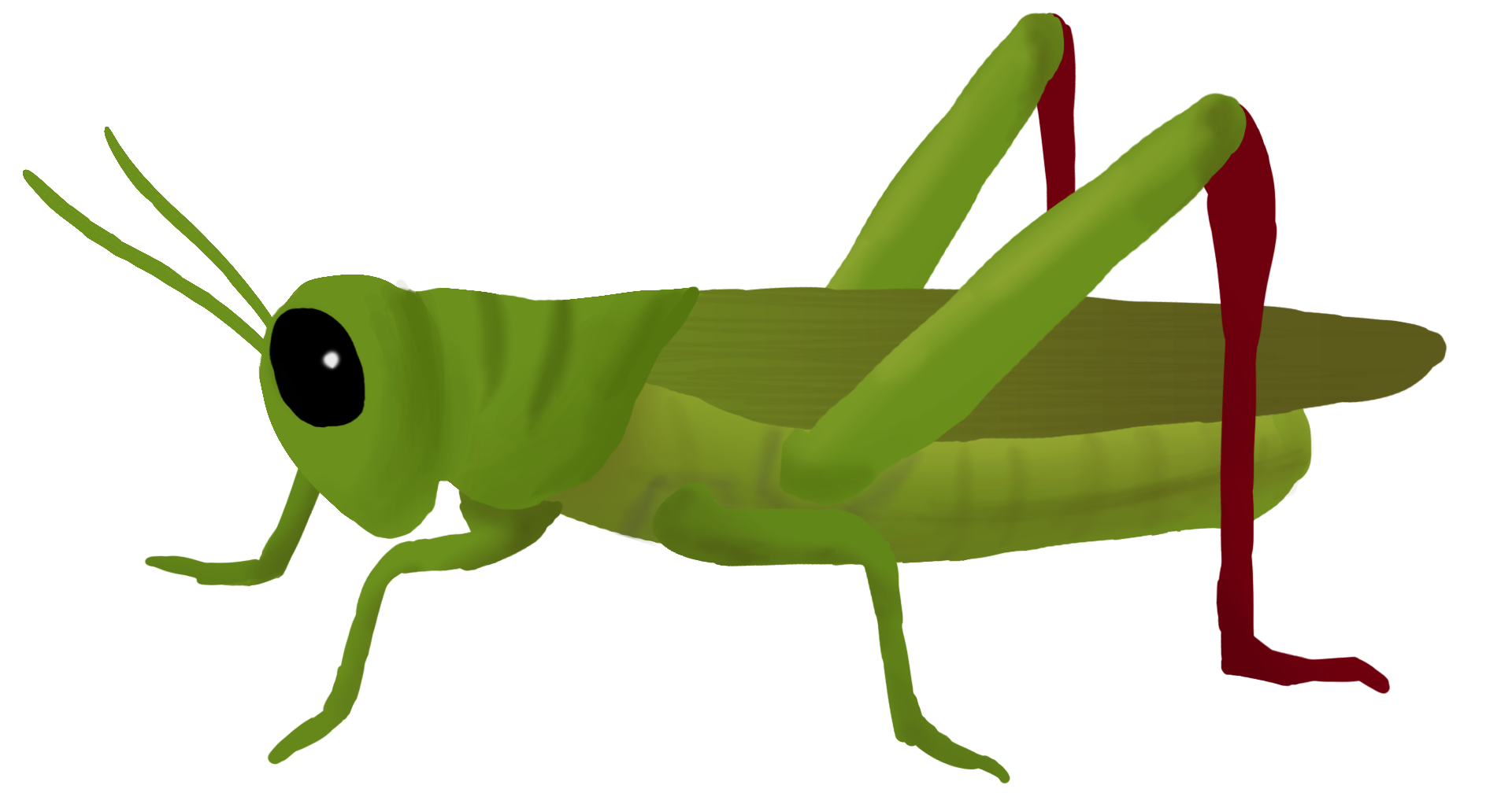 Caterpillars Grasshopper Life Fat Planet PNG