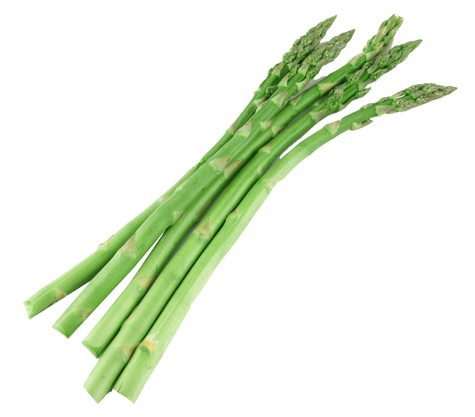 Paper Unripe Miniature Asparagus Vegetable PNG