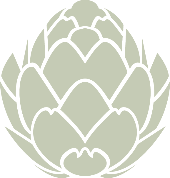 Artichoke Naive Unripened Pound Green PNG