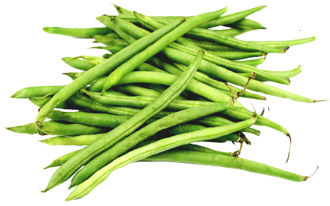 Unripened Beans Grass Hinges Archer PNG