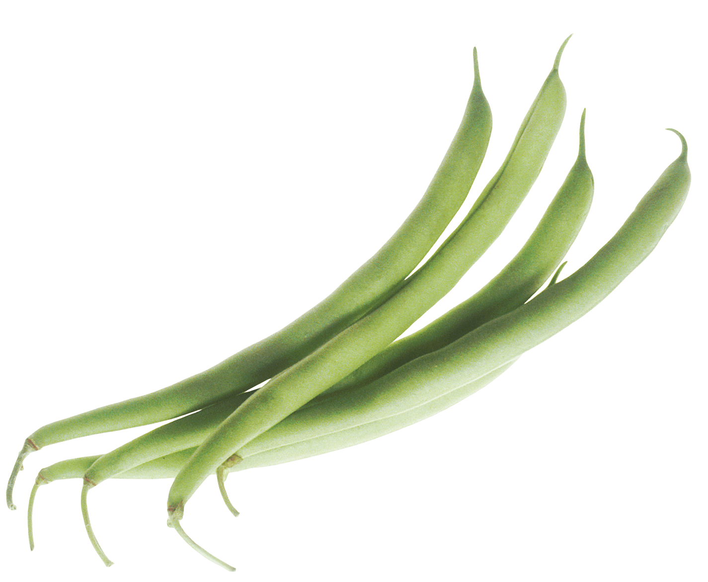 Archer Vegetable Vegetables Unripened Green PNG